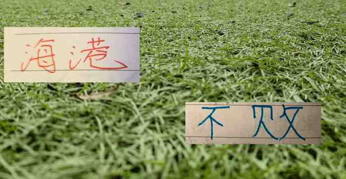 8场不败的海港!下周末迎战浙江 还能延续旺盛的势头吗?